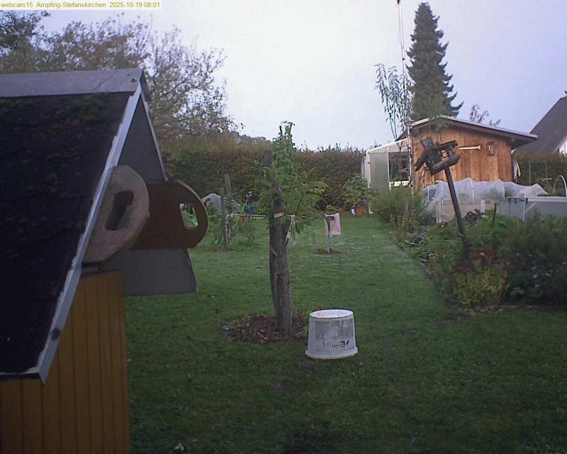 xxFoto von 2025-10-19_080140