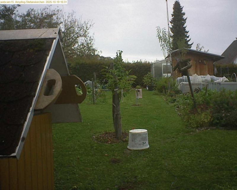 xxFoto von 2025-10-19_163146