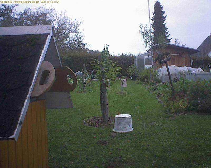 xxFoto von 2025-10-19_173145