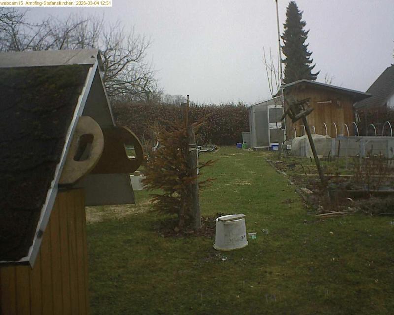 xxFoto von 2026-03-04_123147