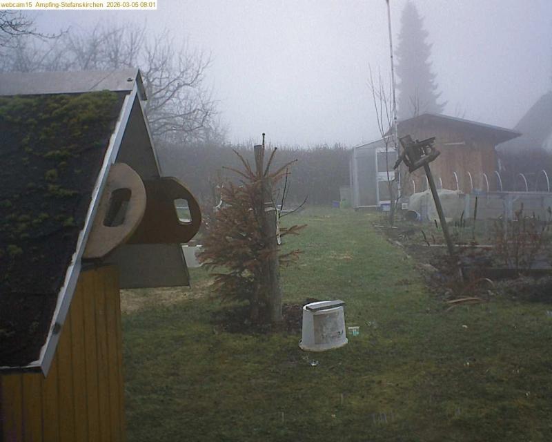 xxFoto von 2026-03-05_080136