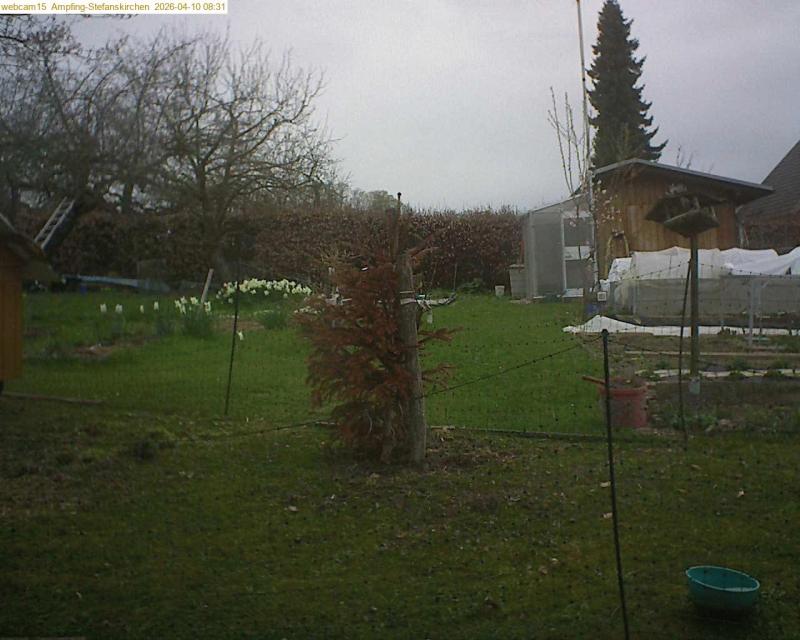 xxFoto von 2026-04-10_083140