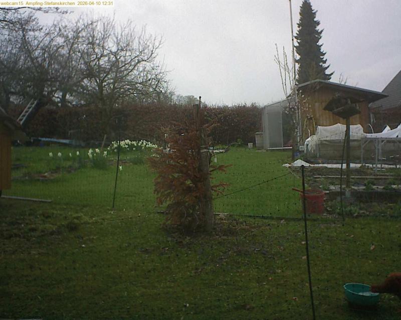 xxFoto von 2026-04-10_123145