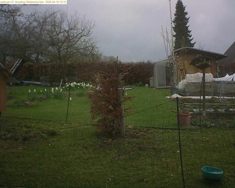 xxFoto von 2026-04-10_153147