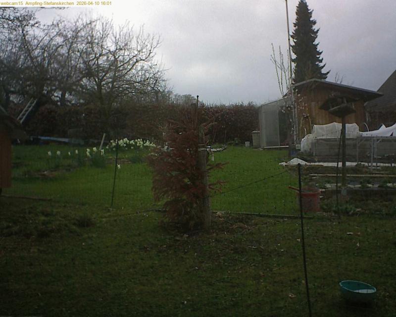 xxFoto von 2026-04-10_160146