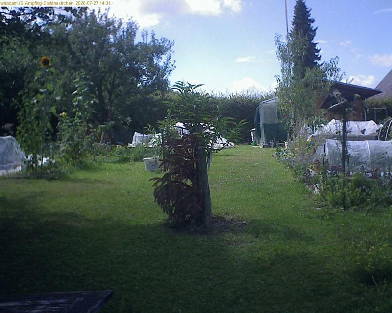 xxFoto von 2026-07-27_143153