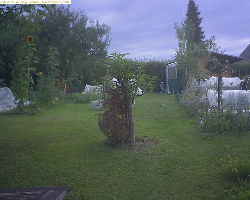 xxFoto von 2026-07-27_200153