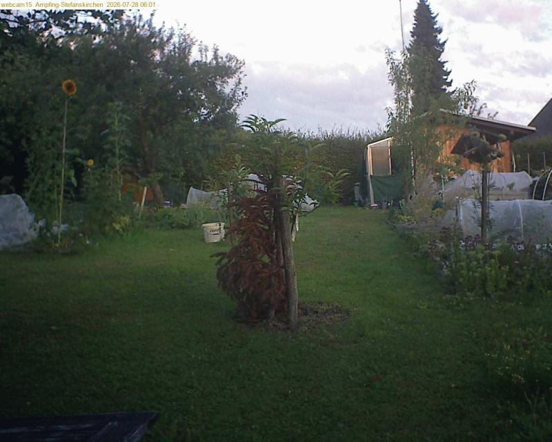xxFoto von 2026-07-28_060145