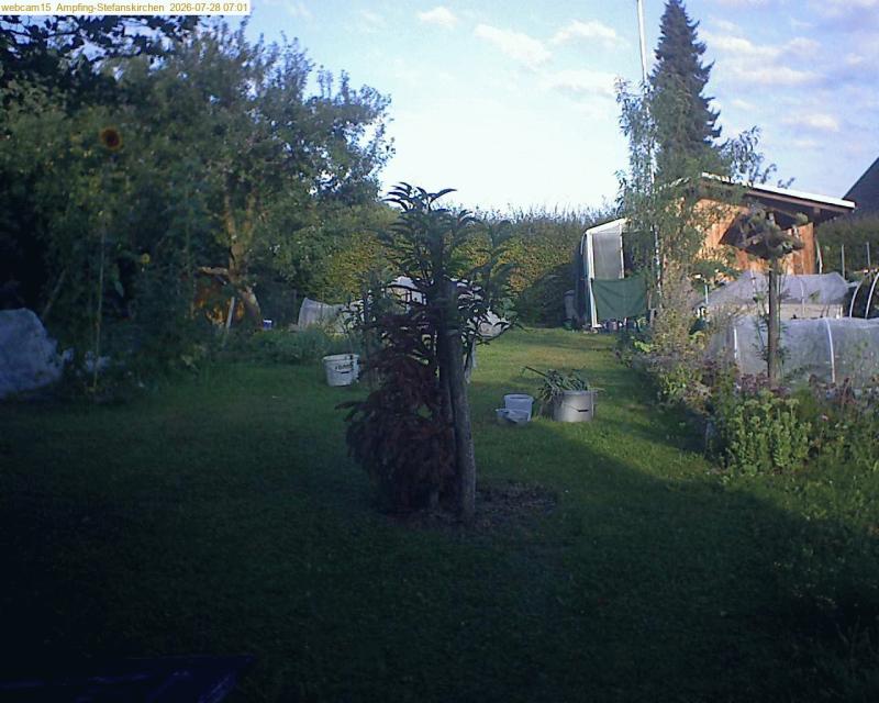 xxFoto von 2026-07-28_070152