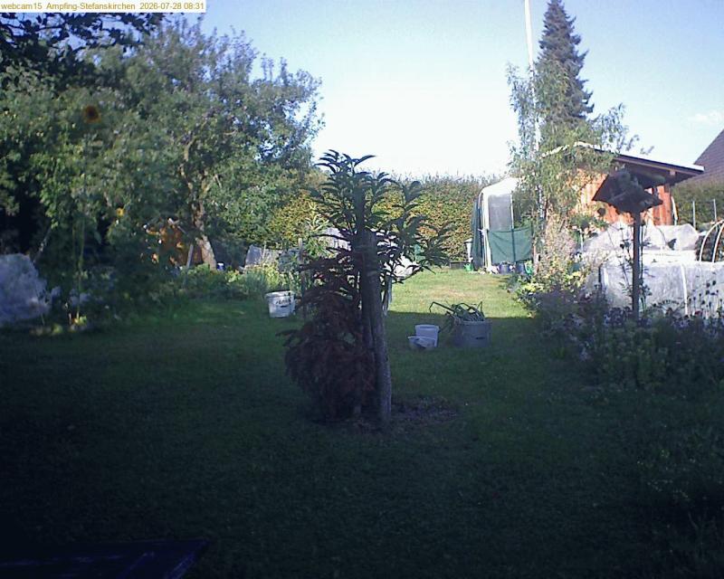 xxFoto von 2026-07-28_083150