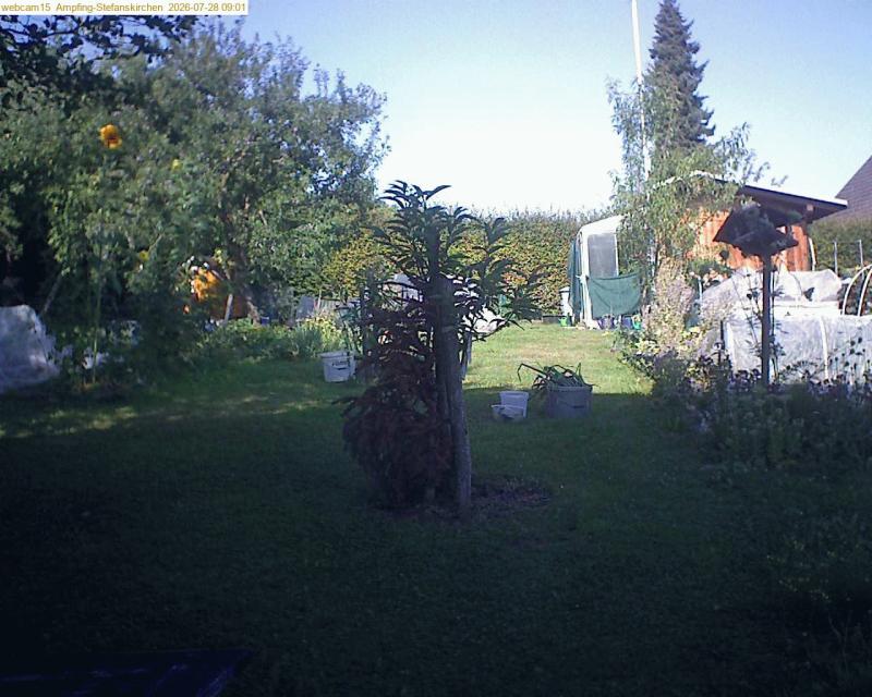 xxFoto von 2026-07-28_090153