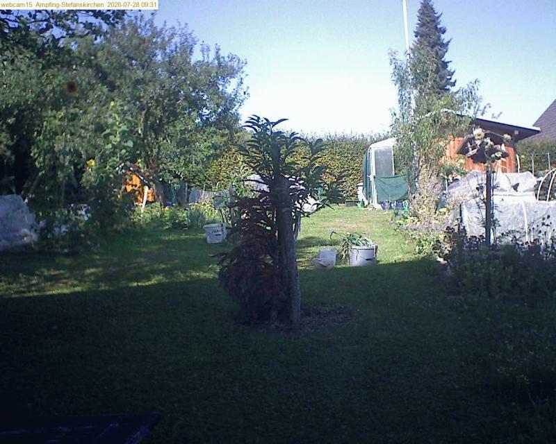 xxFoto von 2026-07-28_093154