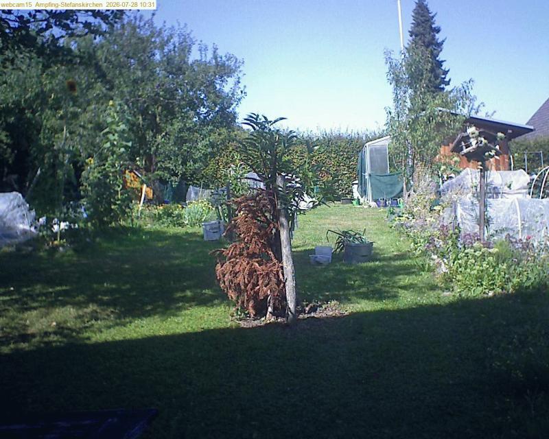 xxFoto von 2026-07-28_103154