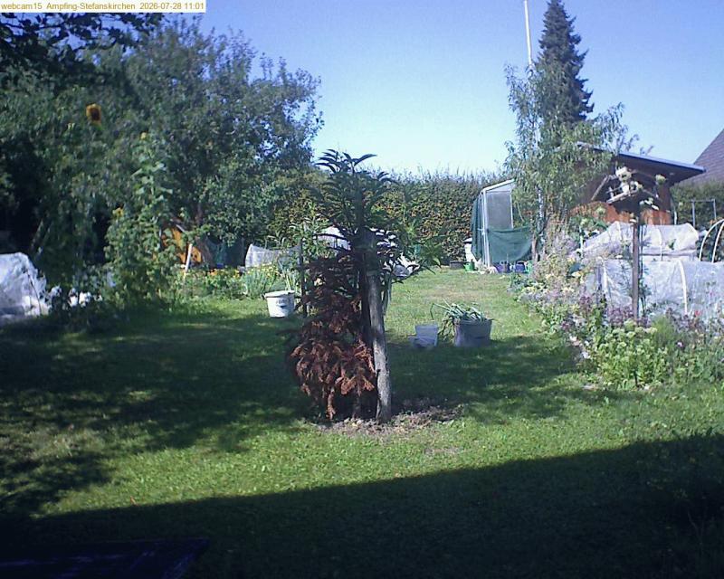 xxFoto von 2026-07-28_110158