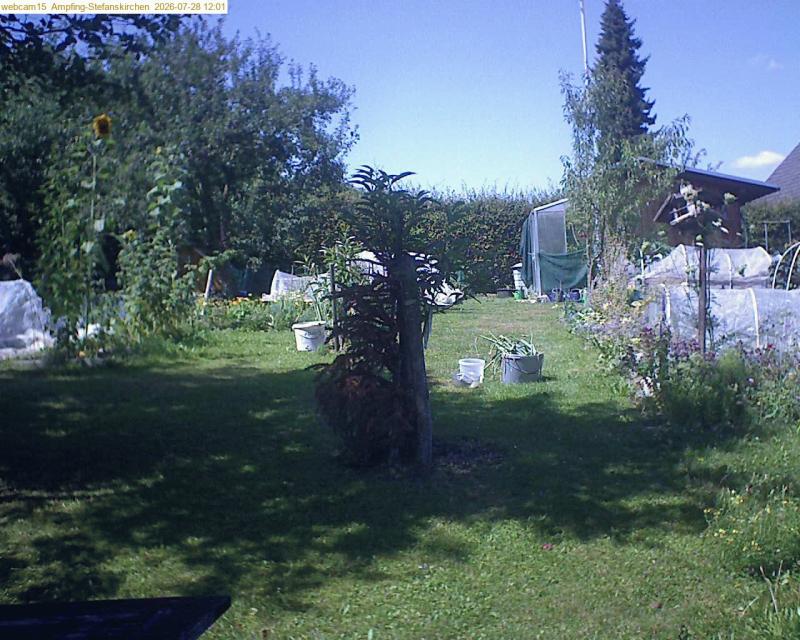 xxFoto von 2026-07-28_120155