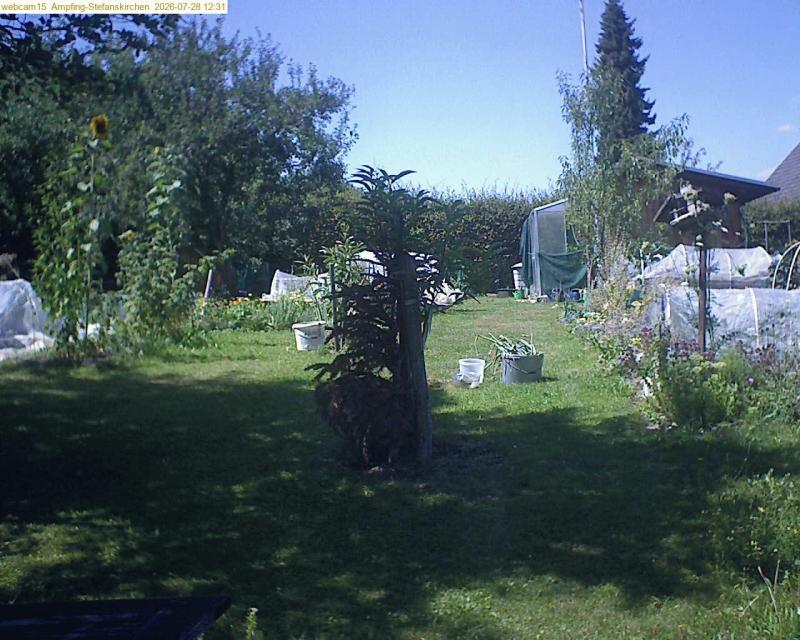 xxFoto von 2026-07-28_123155