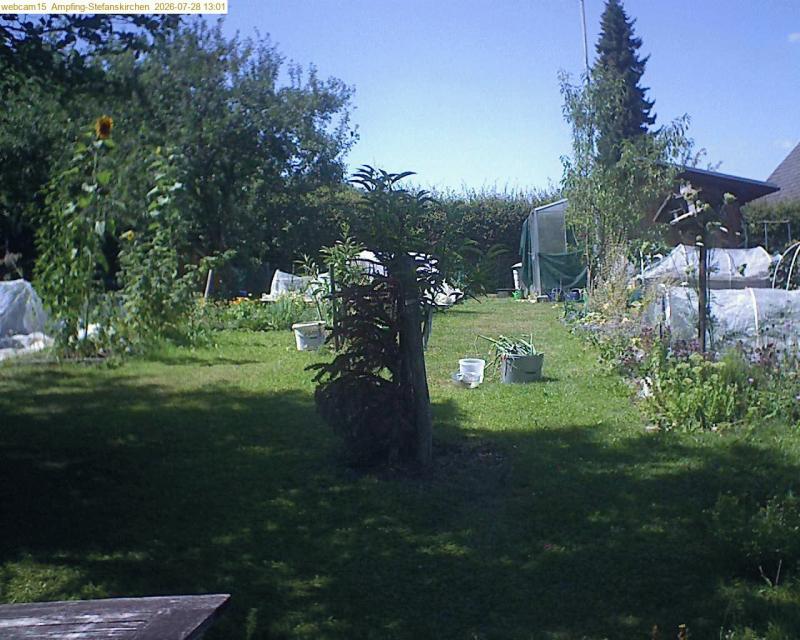 xxFoto von 2026-07-28_130153