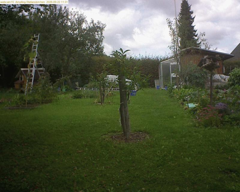 xxFoto von 2026-09-22_113146