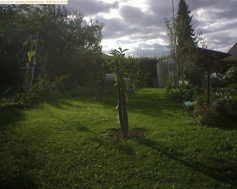 xxFoto von 2026-09-22_163146