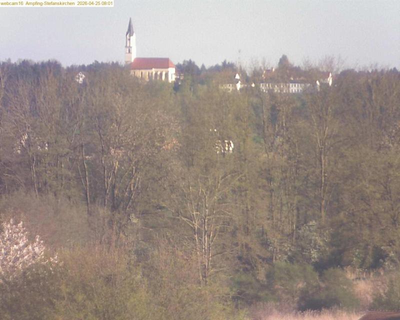 xxFoto von 2026-04-25_080120