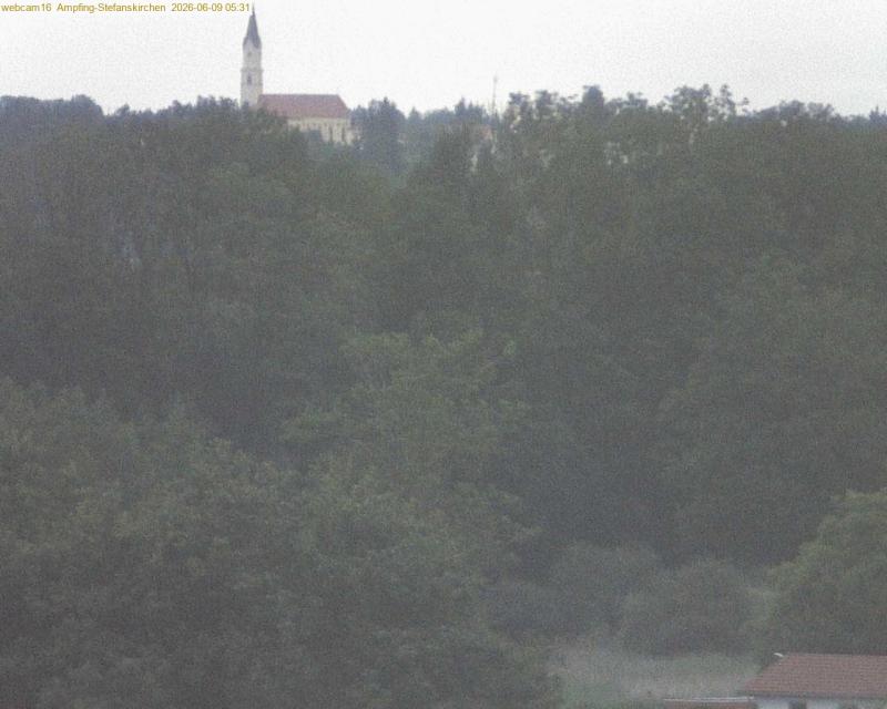 xxFoto von 2026-06-09_053120