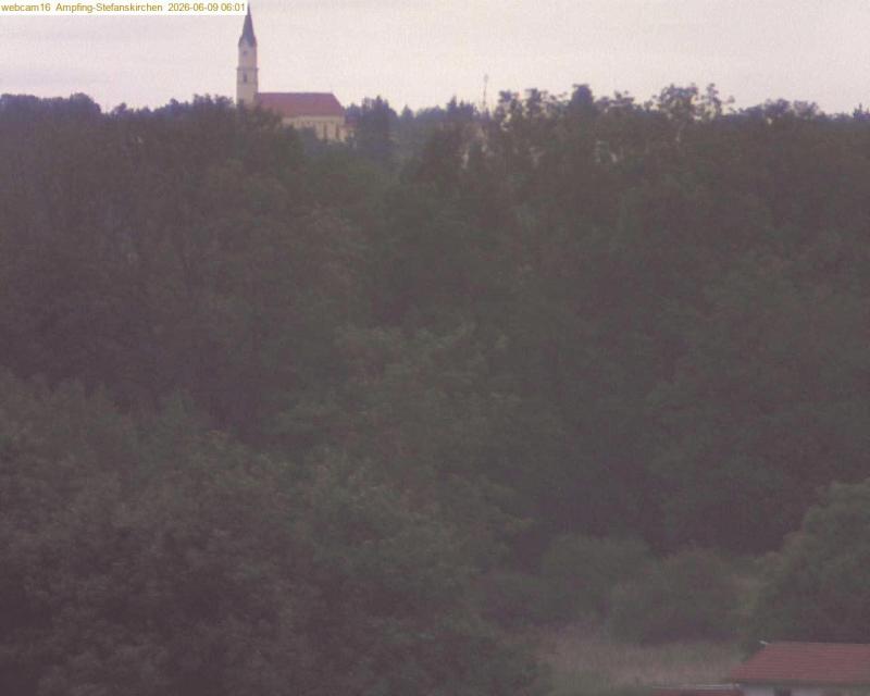 xxFoto von 2026-06-09_060122