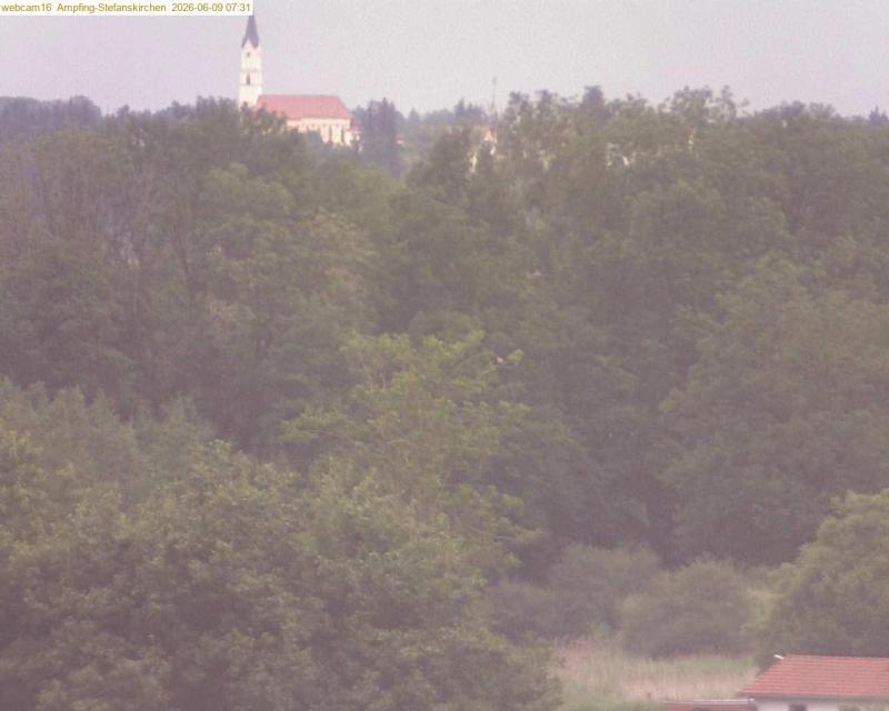 xxFoto von 2026-06-09_073120