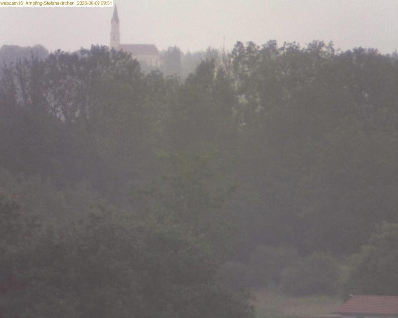 xxFoto von 2026-06-09_093121