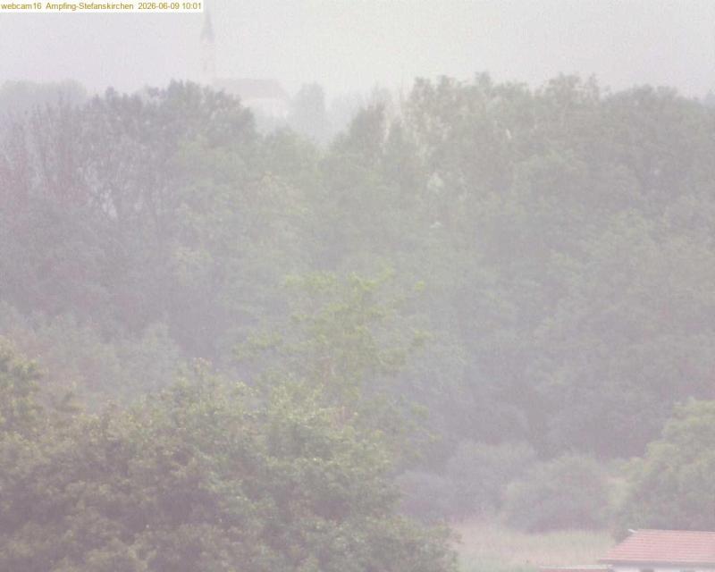 xxFoto von 2026-06-09_100123