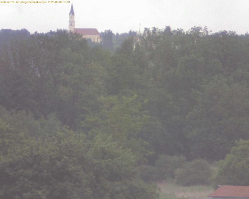 xxFoto von 2026-06-09_163121