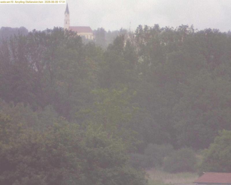 xxFoto von 2026-06-09_173121
