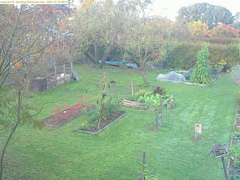 xxFoto von 2025-10-19_083120