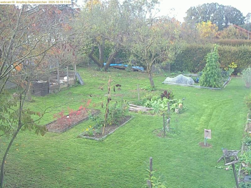 xxFoto von 2025-10-19_110123
