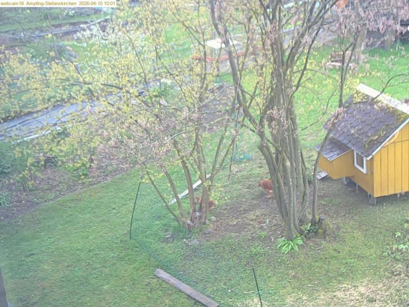 xxFoto von 2026-04-10_100120