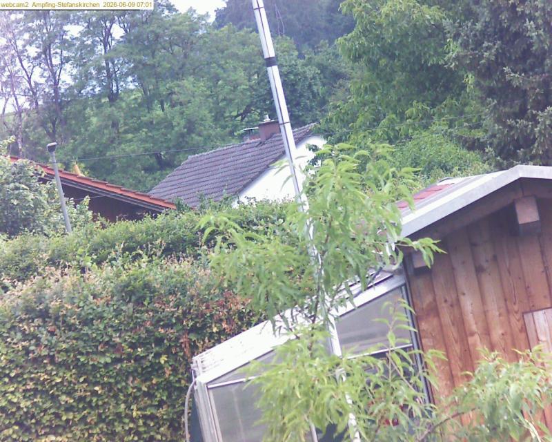 xxFoto von 2026-06-09_070123