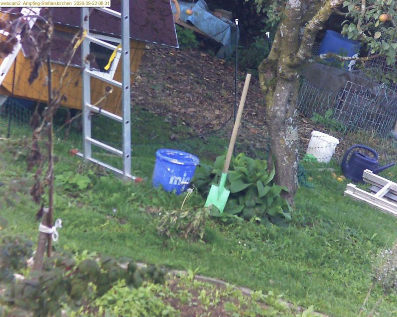 xxFoto von 2026-09-22_083119