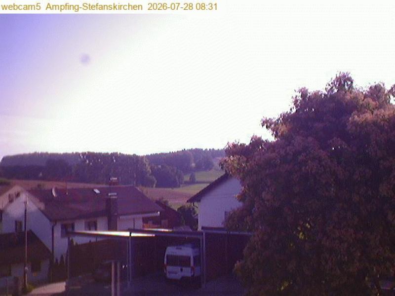 xxFoto von 2026-07-28_083121