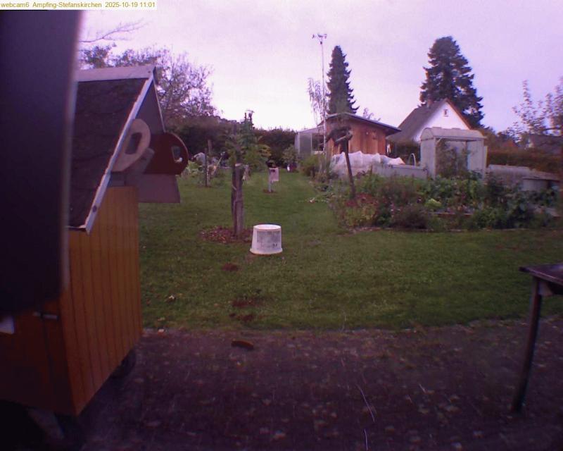 xxFoto von 2025-10-19_110123
