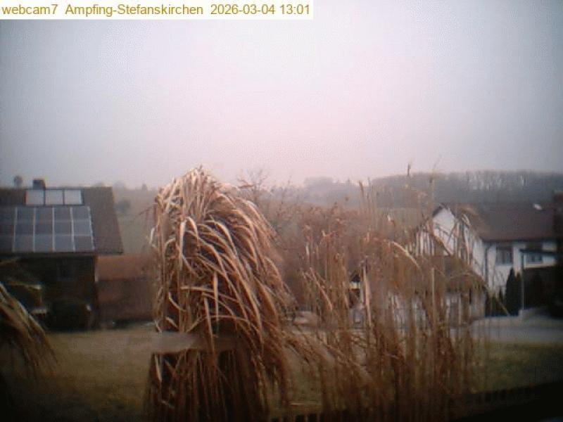 xxFoto von 2026-03-04_130106