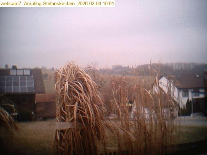 xxFoto von 2026-03-04_160105