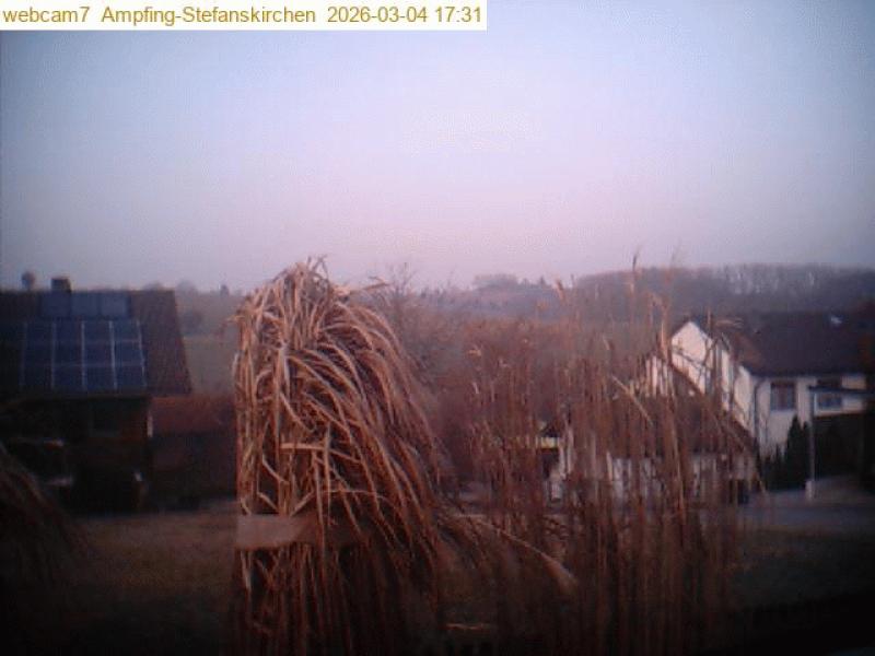 xxFoto von 2026-03-04_173104