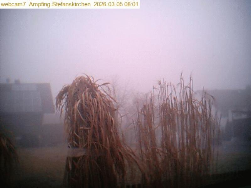 xxFoto von 2026-03-05_080104