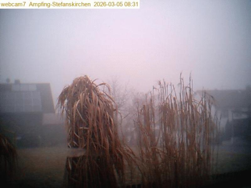 xxFoto von 2026-03-05_083104