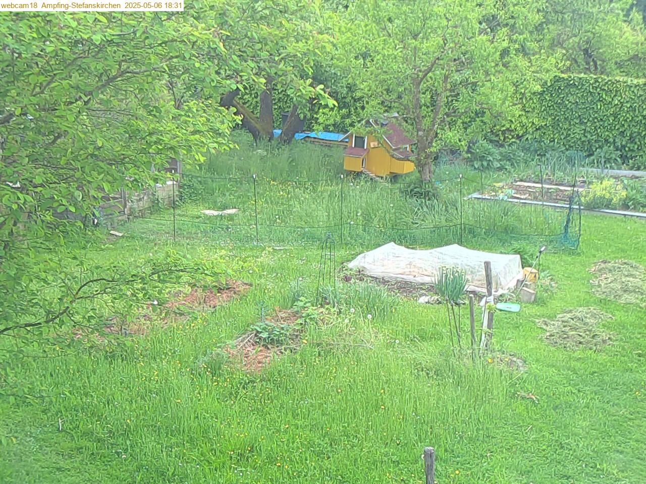 aktuellstes Webcam18-Bild