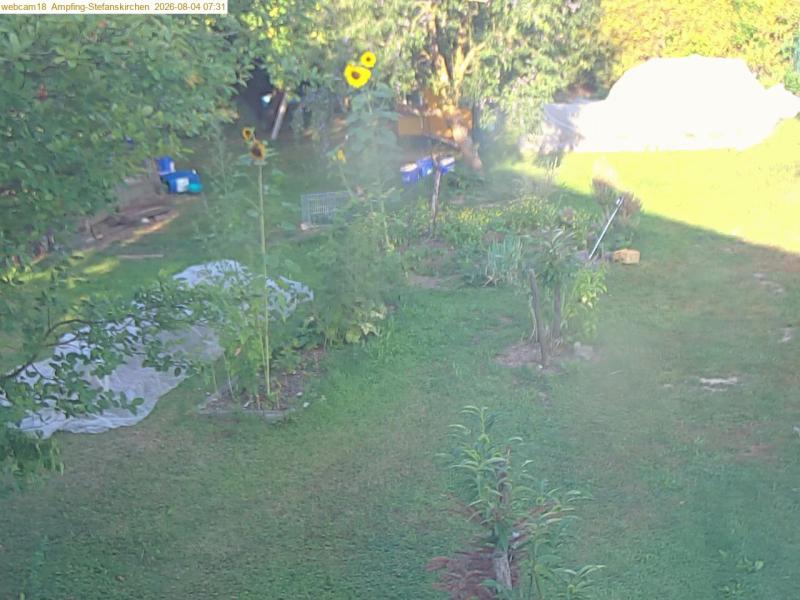 xxFoto von 2026-08-04_073122
