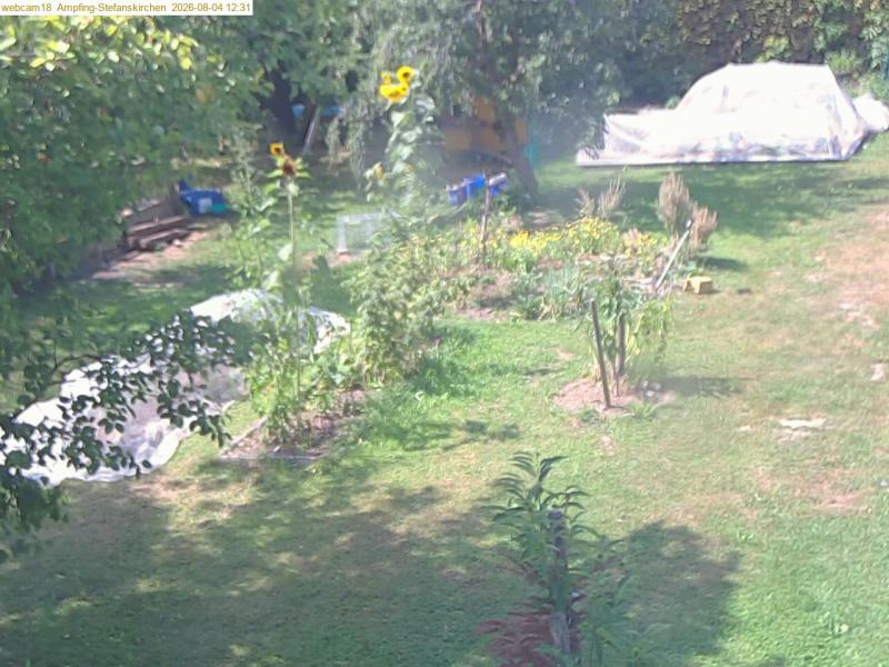 xxFoto von 2026-08-04_123126