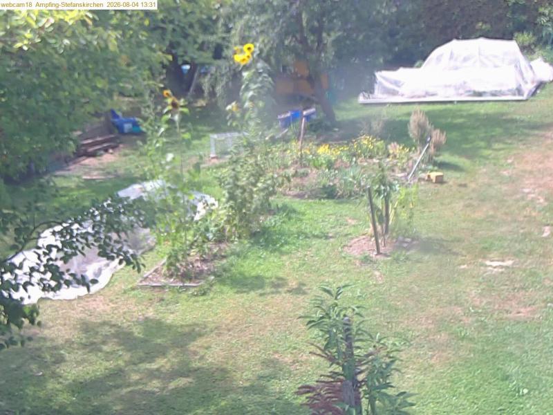 xxFoto von 2026-08-04_133126