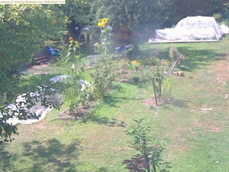 xxFoto von 2026-08-04_140130