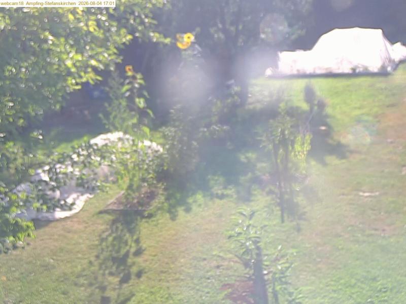 xxFoto von 2026-08-04_170128