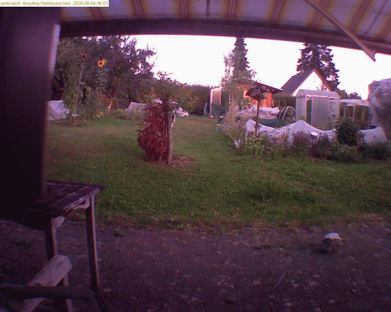 xxFoto von 2026-08-04_060122